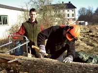 Ekolsund_sawmill_202