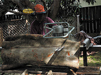 Milling Tropical Hardwood