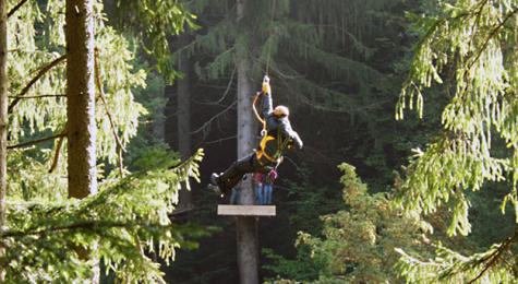 Sky Ladder in Wood