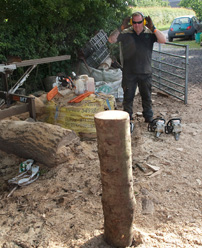 Chainsaw wood sculptor