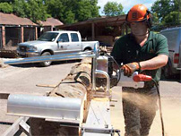 sawmill_forest_trust