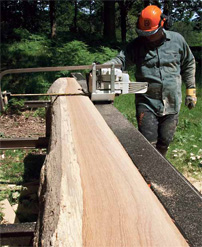 Portable sawmill in family forest