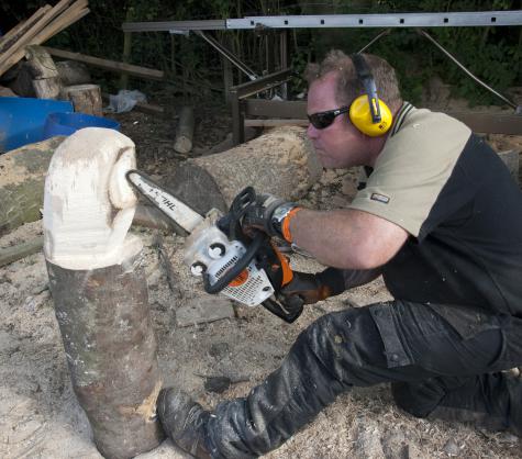 Concern for trees turned James into a full-time sculptor