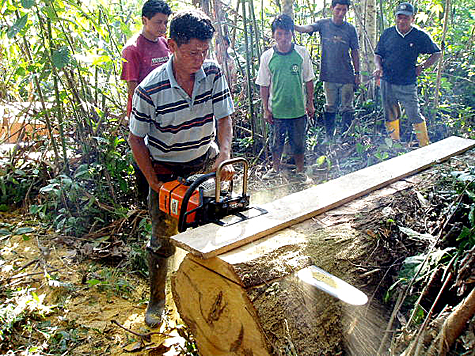 TIMBERJIG in Ecuador