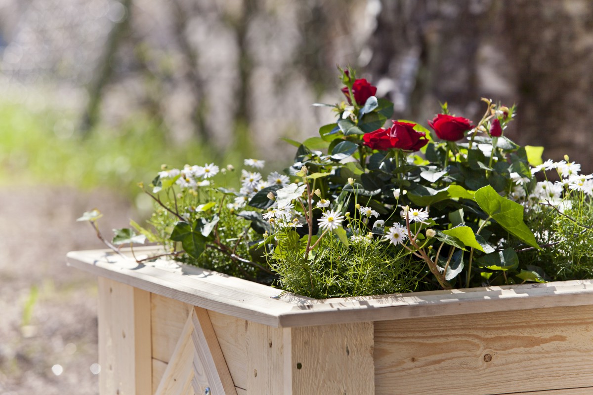 Embellish Your Garden with easily built flowerbox
