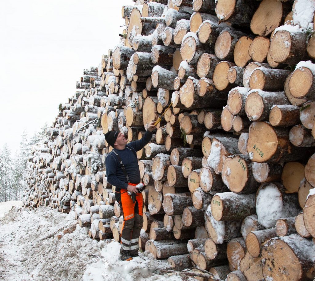 Everyone can learn how to build with timber cants Woodworking Project