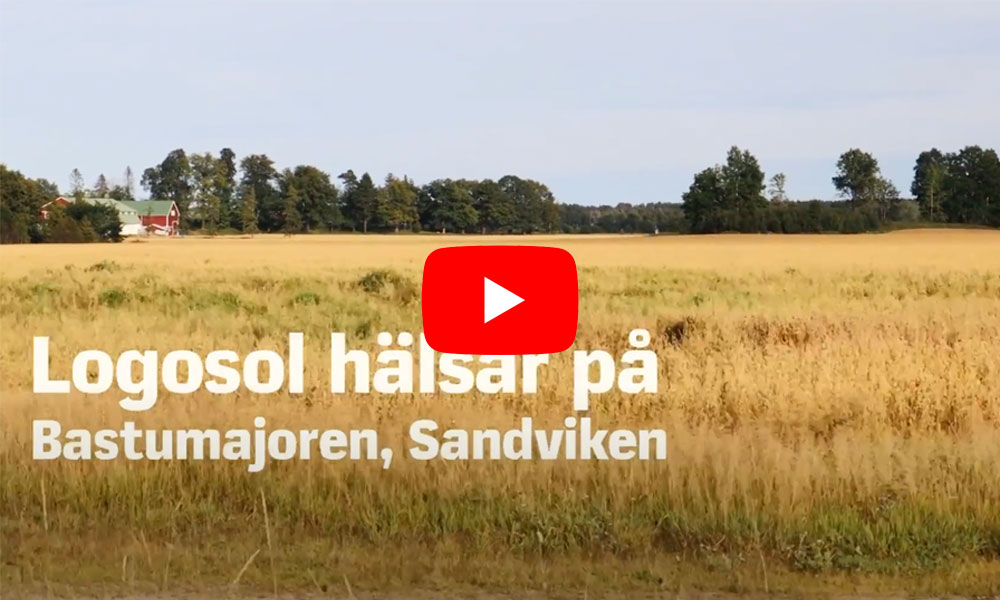 B1001 bandsågverk från Logosol