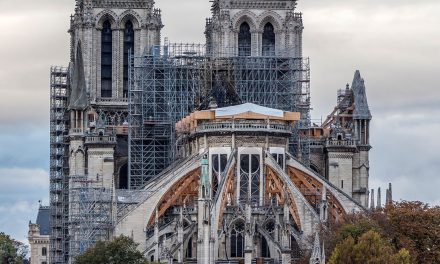 Logosol B1001 was chosen for the reconstruction of Notre – Dame